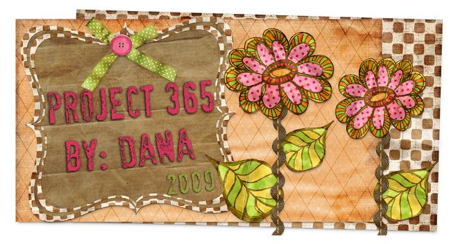 Project 365 by: Dana