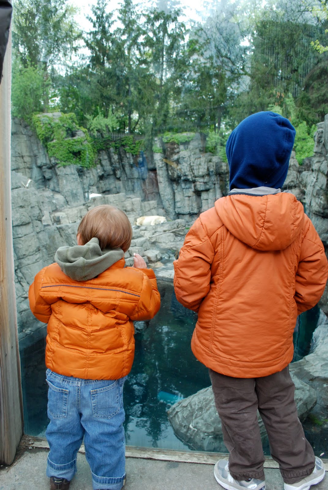 Dadventures : Madagascar in the City: The Central Park Zoo, NY, NY