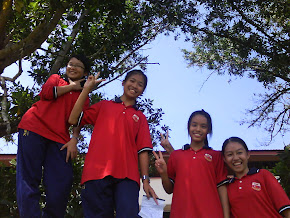 4 sor por~