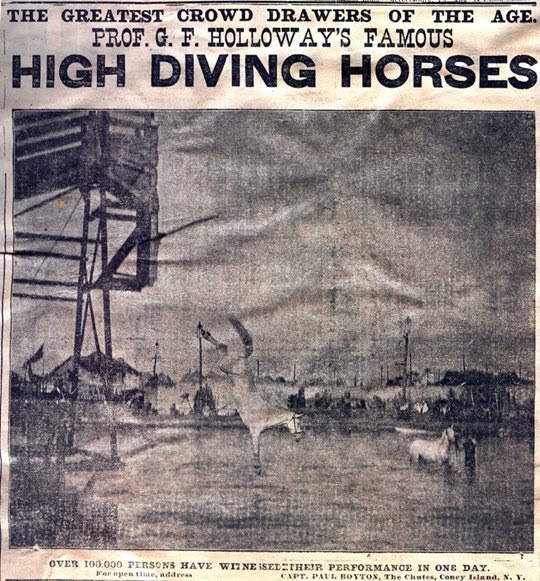 The Amazing Mr. E. Quine and His Wandering Barnyard Show The High