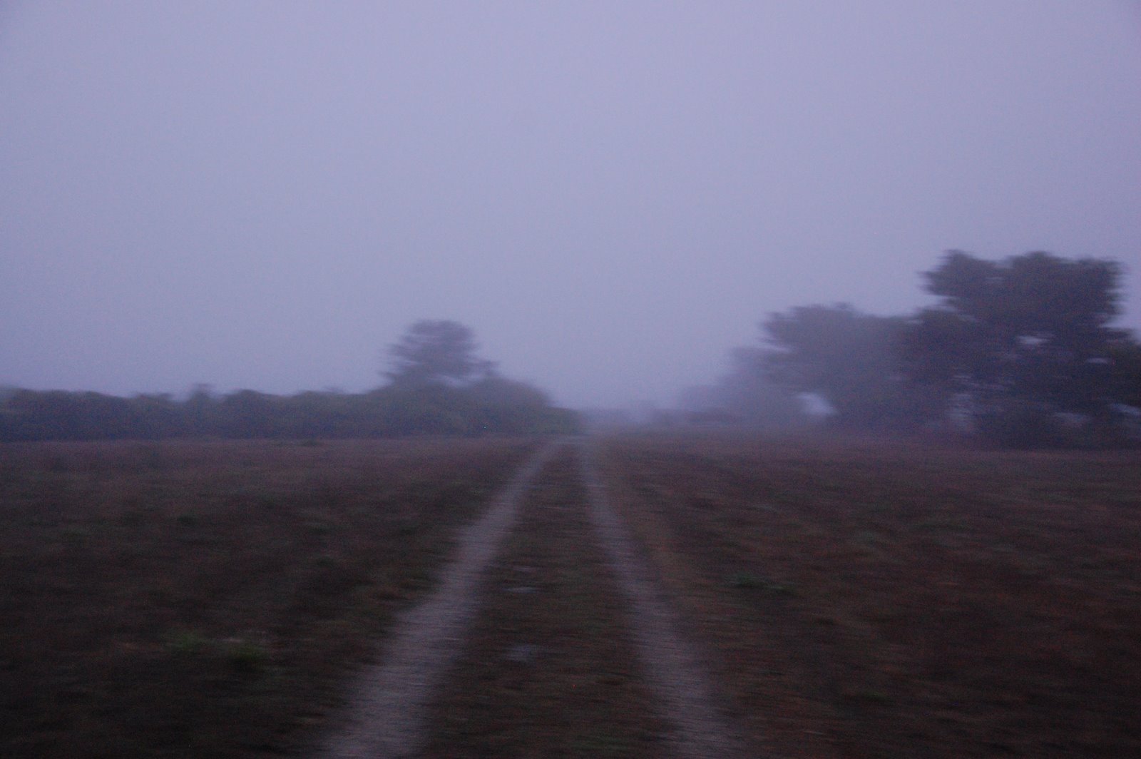 [DSC_0461.JPG]