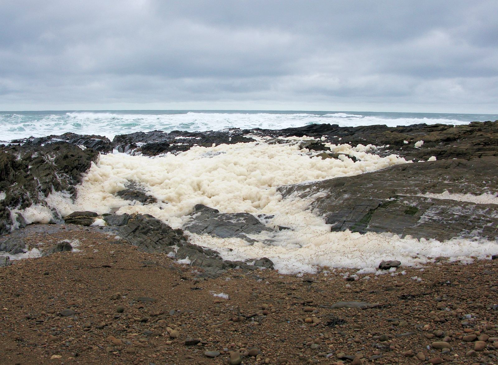 Islay Natural History Trust Beach foam
