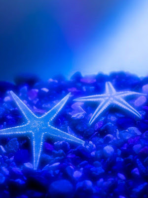 DIGALERI.com: 50+ Wallpaper Paling Keren untuk iPad Anda wallpaper ipad, ipad background, digaleri