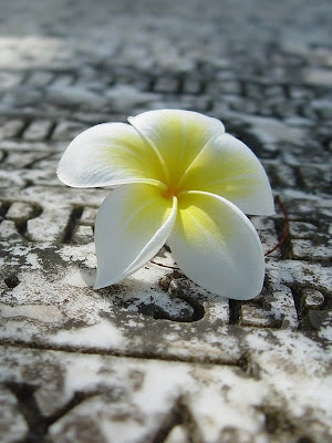 DIGALERI.com: 50+ Wallpaper Paling Keren untuk iPad Anda wallpaper ipad, ipad background, digaleri
