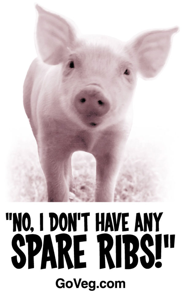 vegetarianism quotes. vegetarianism quotes.