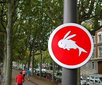 unusual street signs