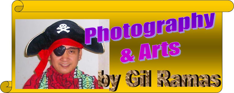 PHOTOGRAPHY  &  ARTS                      by GIL RAMAS
