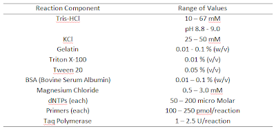 PCR components