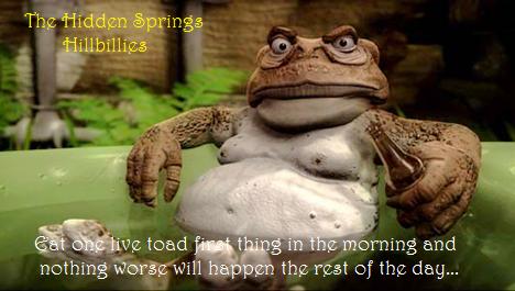 The Hidden Springs Hillbillies