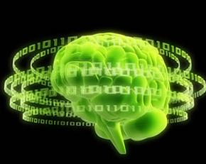 Memórias de uma Caixa Verde