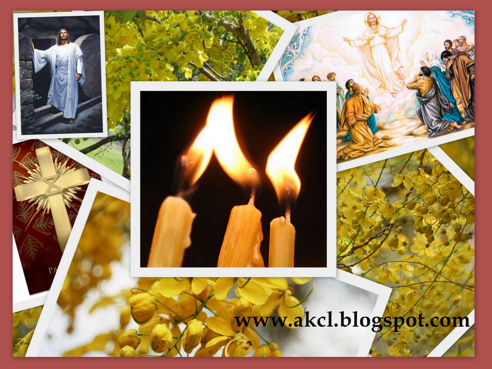 [vishucollageblog.jpg]