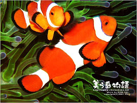 moshi2~nemo