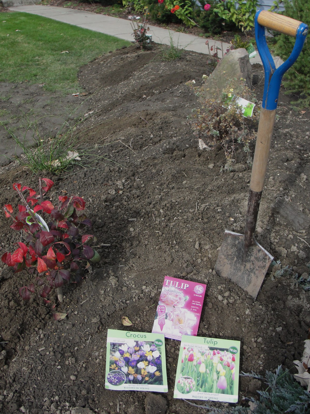 Plant your own garden Idea