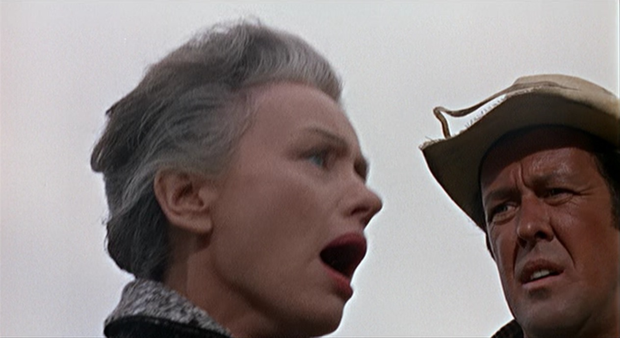 essays on the birds short story This is a 5-day (or more) lesson plan to guide students through a comparison of daphne du maurier's short story the birds and hitchcock's film version it. essays on the birds short story This is a 5-day (or more) lesson plan to guide students through a comparison of daphne du maurier's short story the birds and hitchcock's film version it.