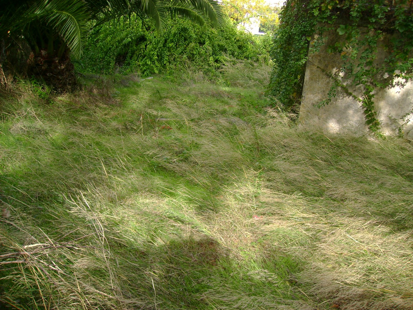 [DSC02174.JPG]