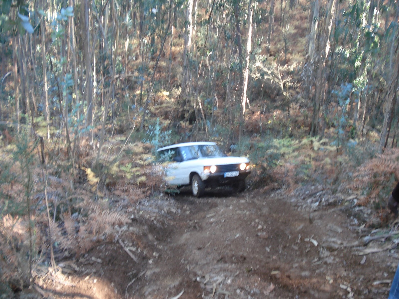 [DSC06975.JPG]