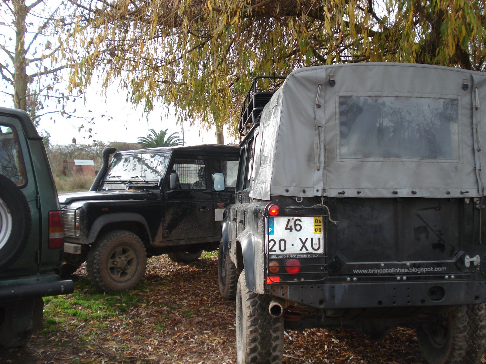 [DSC07184.JPG]