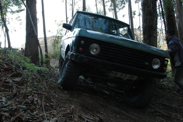 [DSC_5795.JPG]