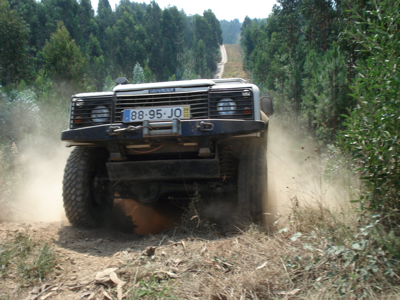 [DSC05780.JPG]