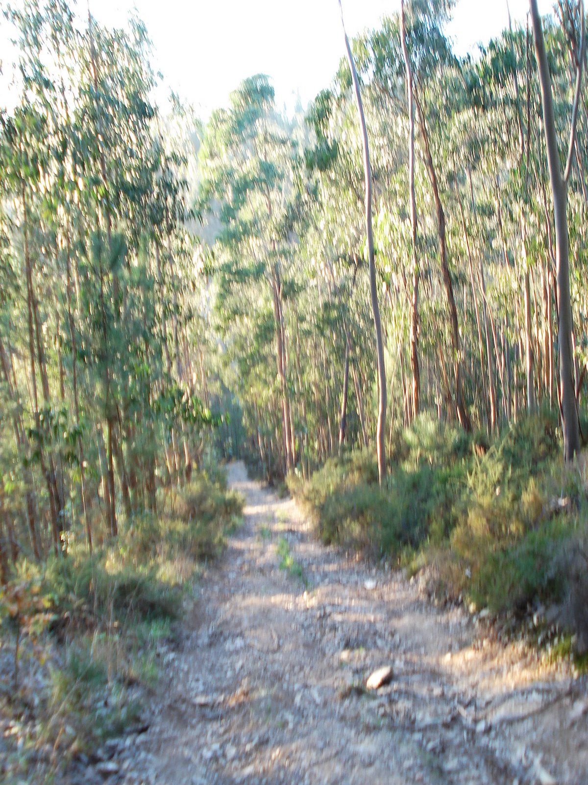 [DSC08234.JPG]