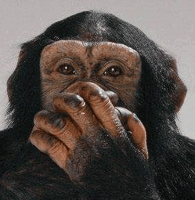 Ask A Mormon Housewife