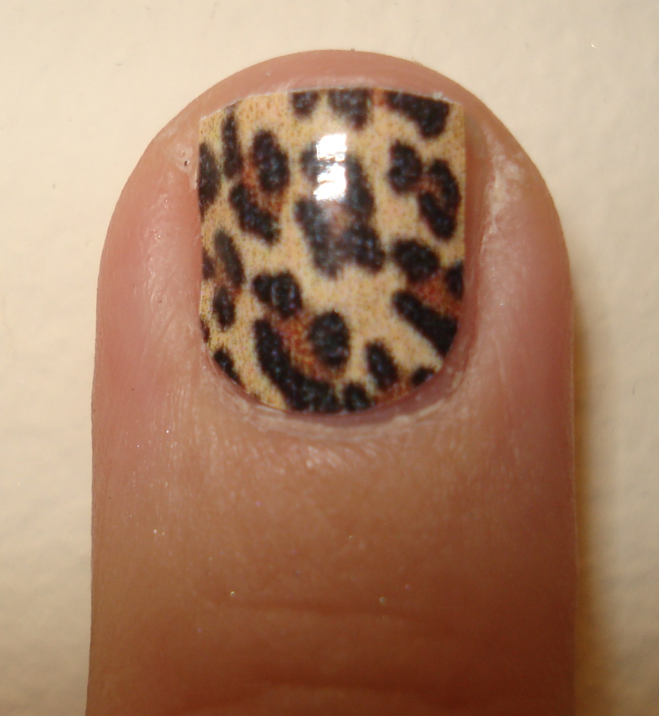 nail leopard