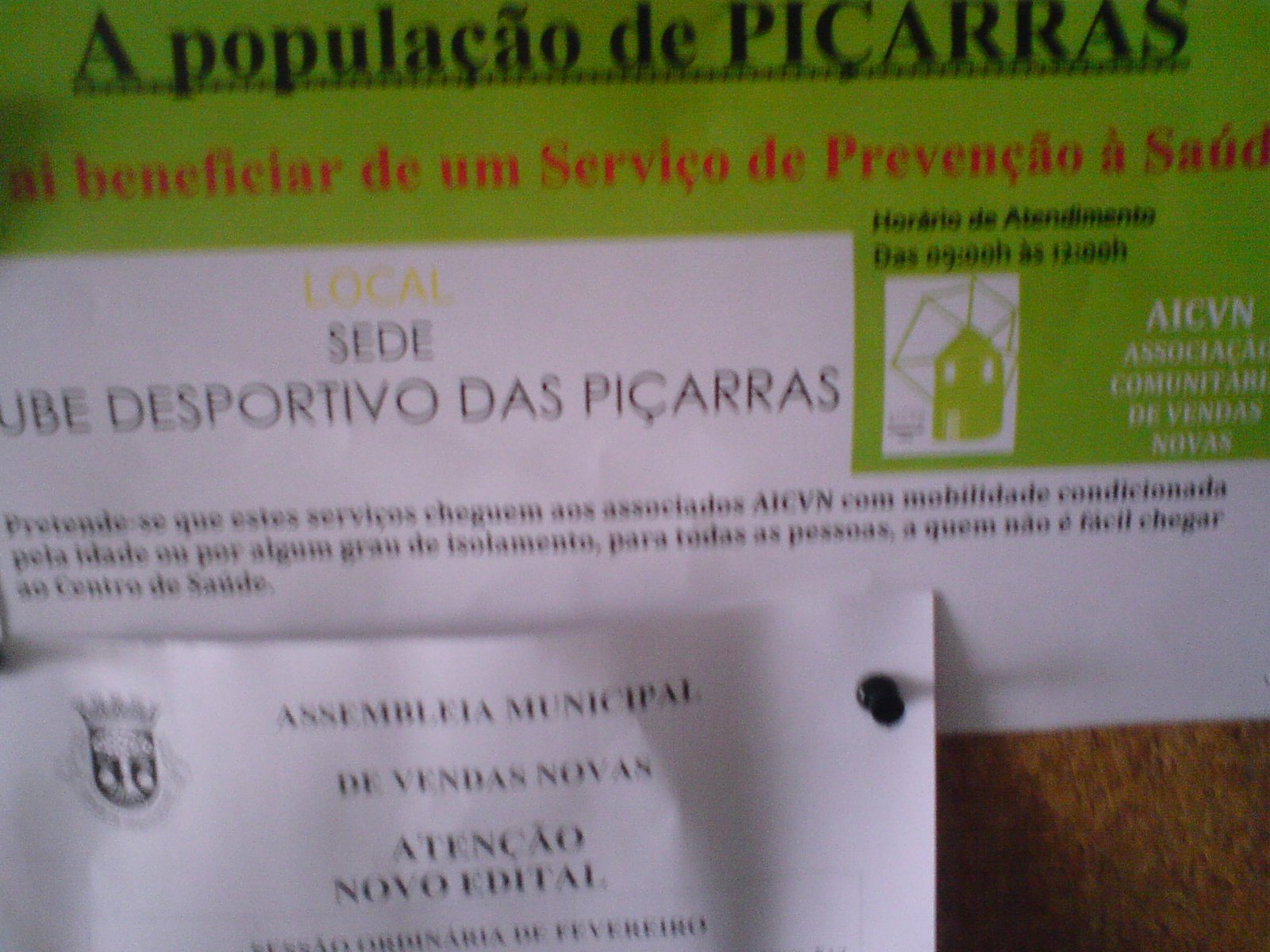 [psaude1.JPG]