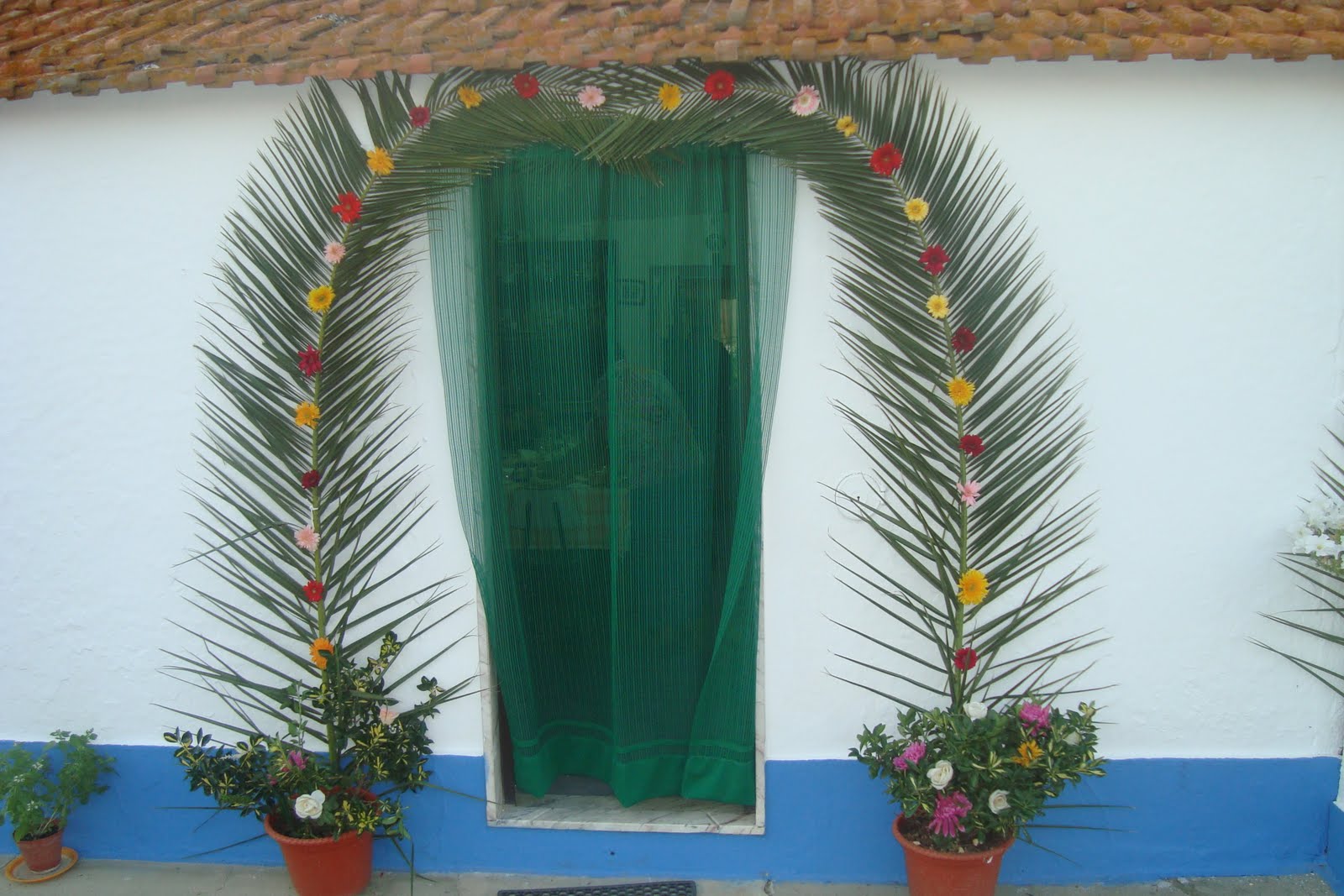 [concurso4.JPG]