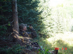 Elk Hunting