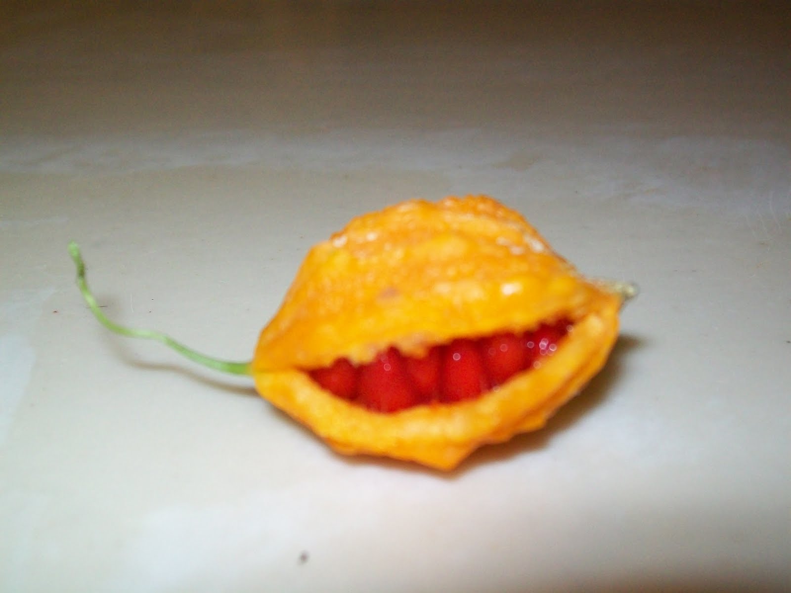 Lutherans in the Dominican Republic Fruit