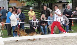 TRES PODIOS EN ALEMANIA (haga CLICK en la foto)