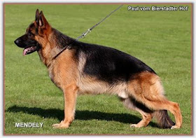 Janaundbrunhilde Resultados Del 9 De Agosto