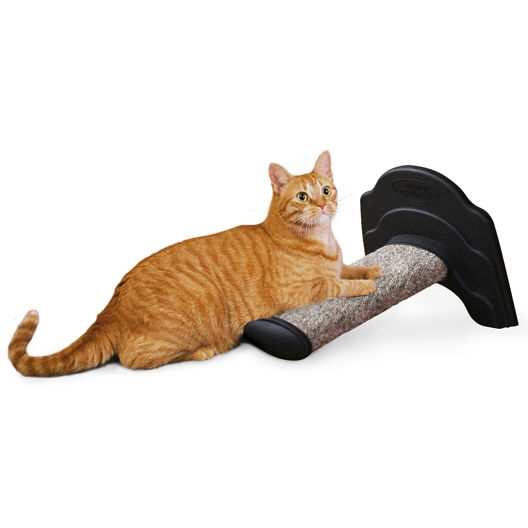 How To Keep A Cat From Scratching Furniture