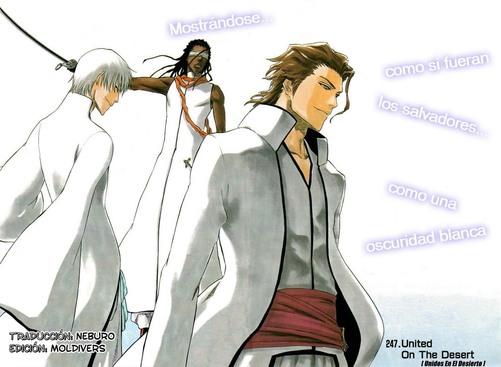 Bleach. El final de una era... ¿el inicio de algo mejor?