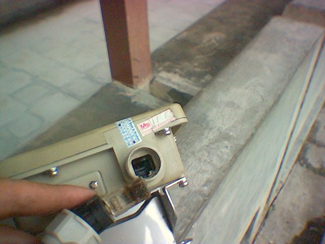 kantutan