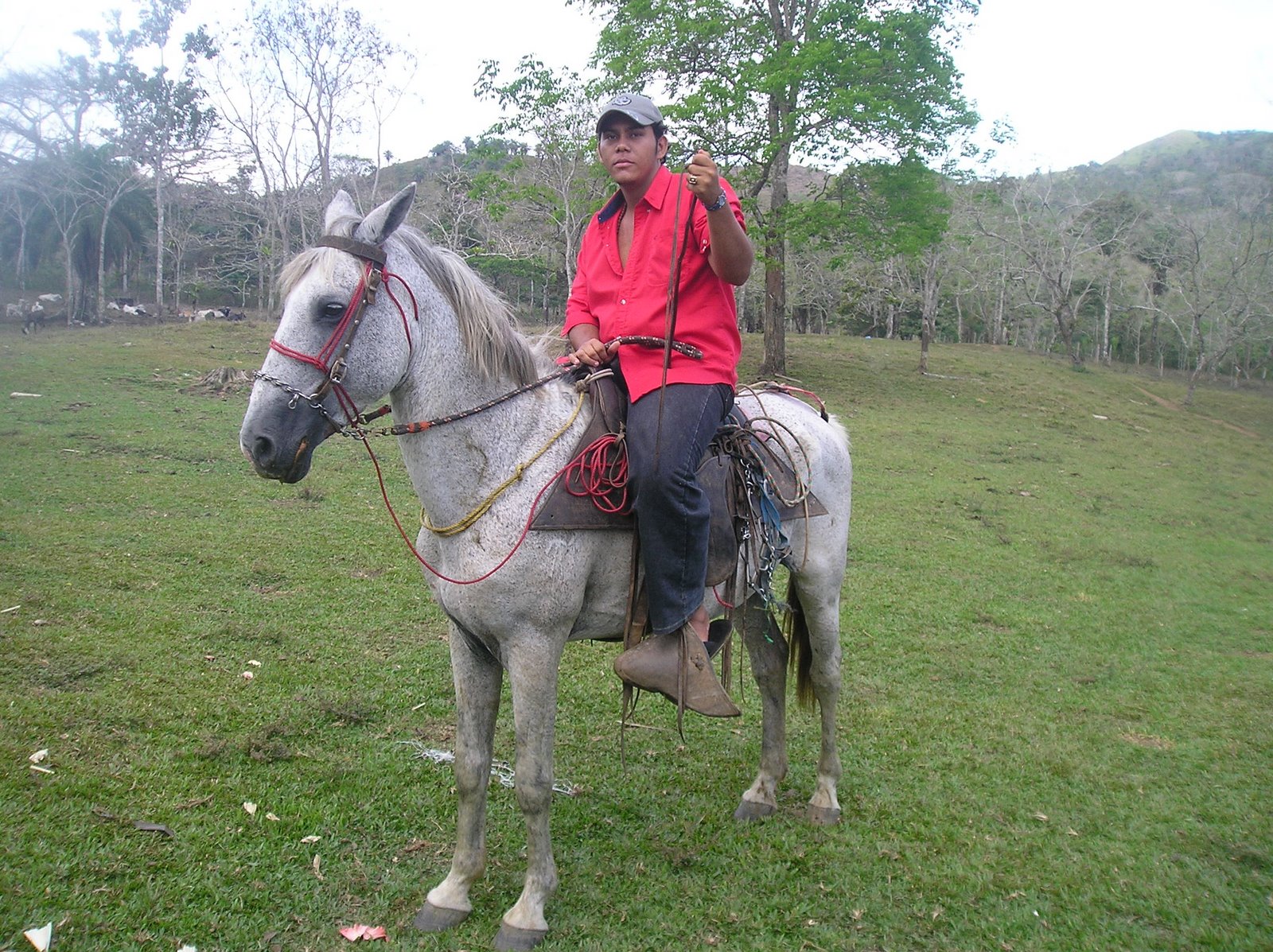 [P4080098.JPG]