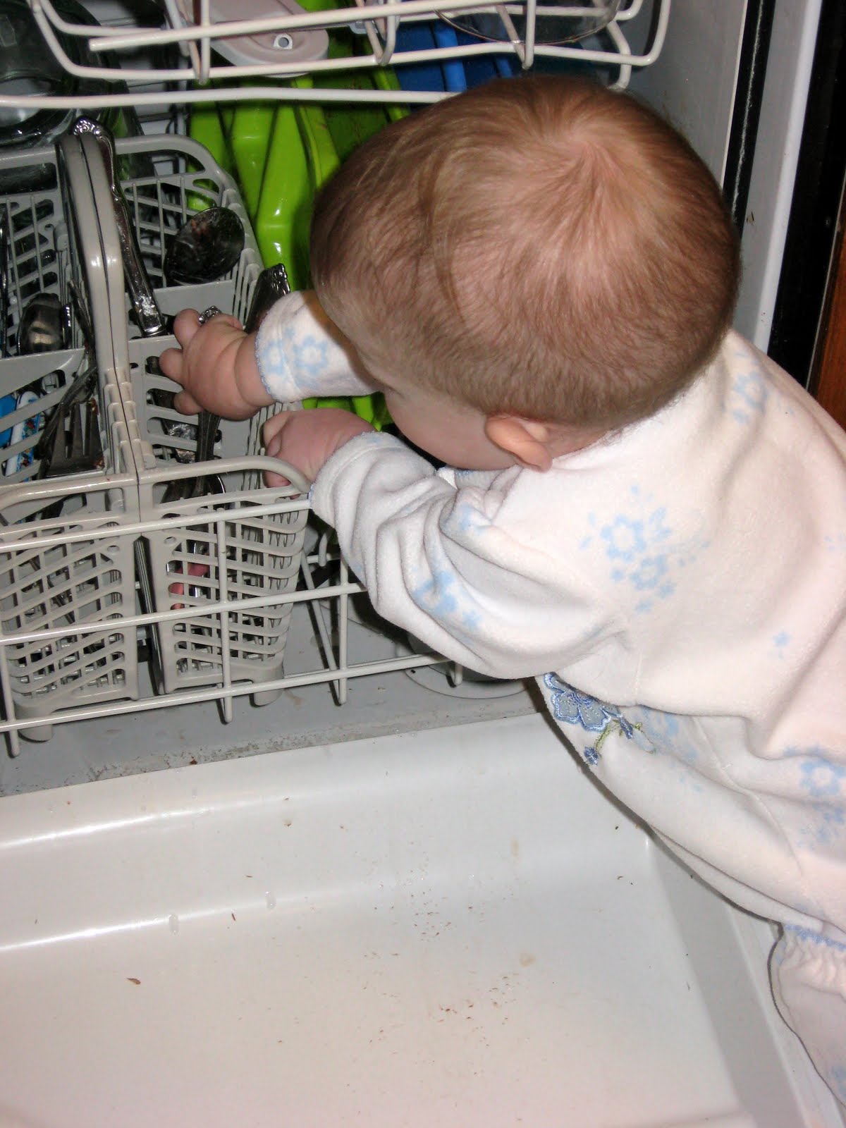 [IMG_6337.JPG]