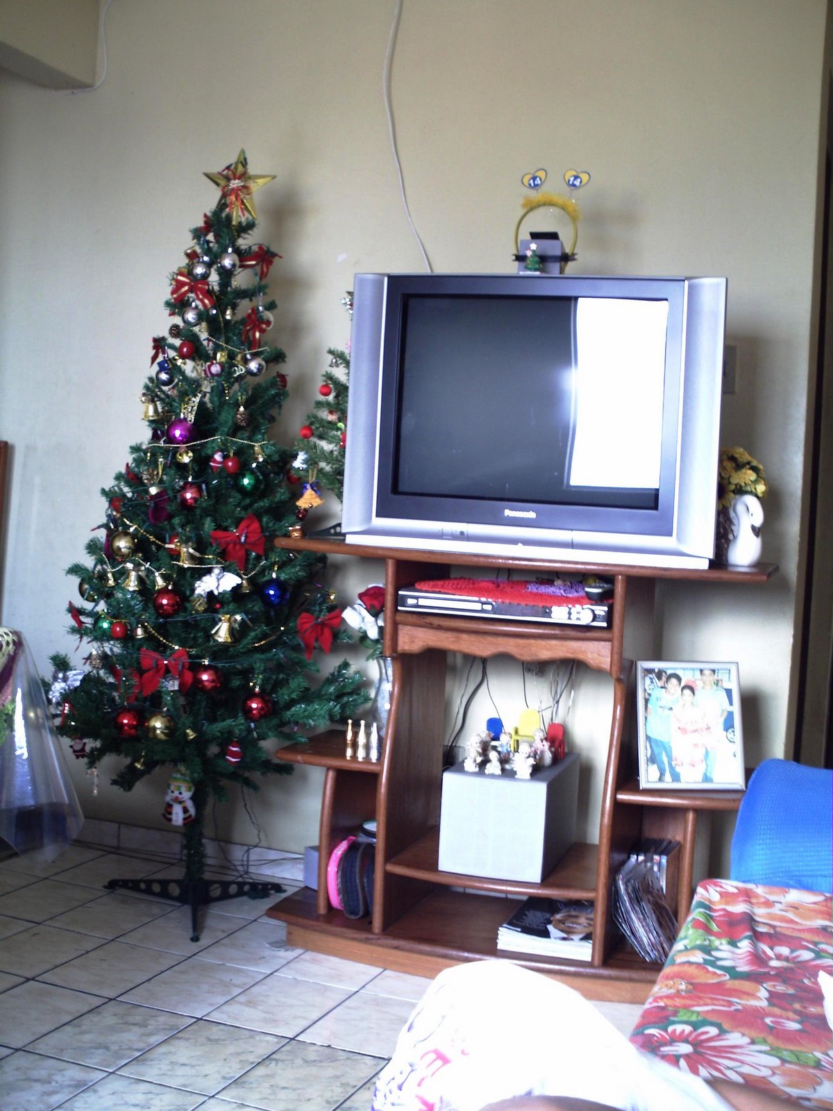 [PICT0036.JPG]