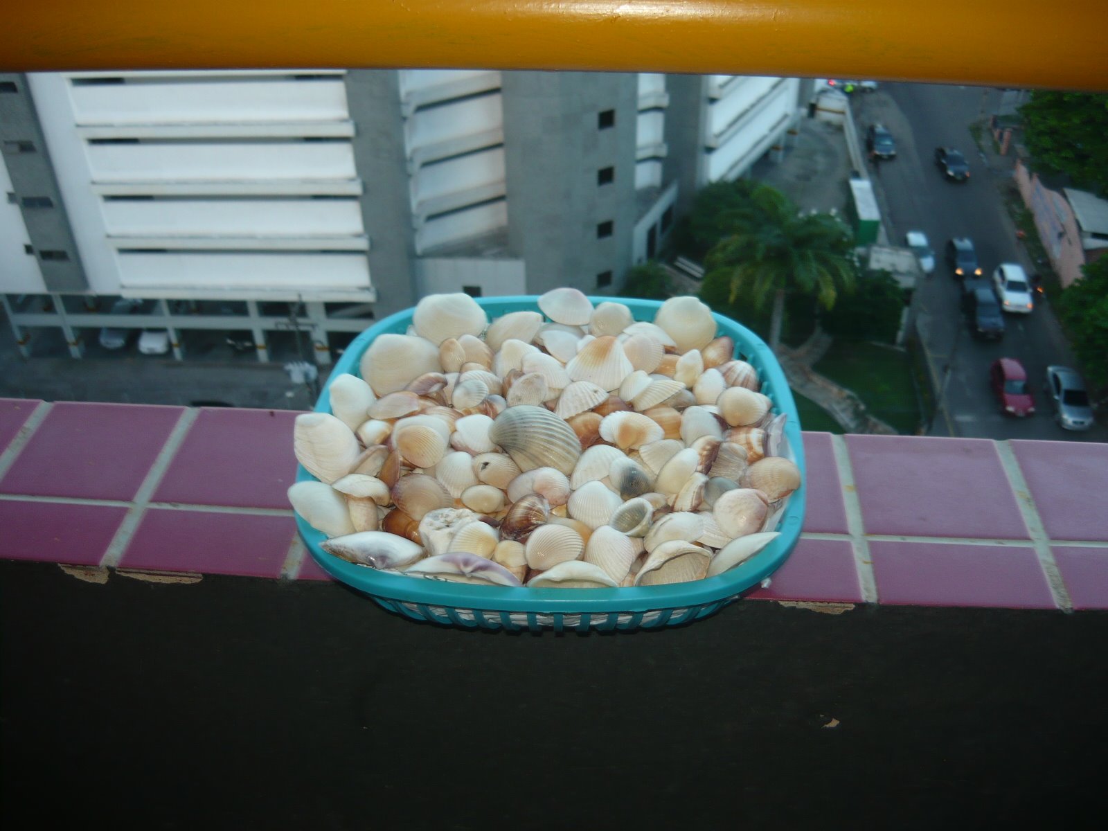 [P1010146.JPG]