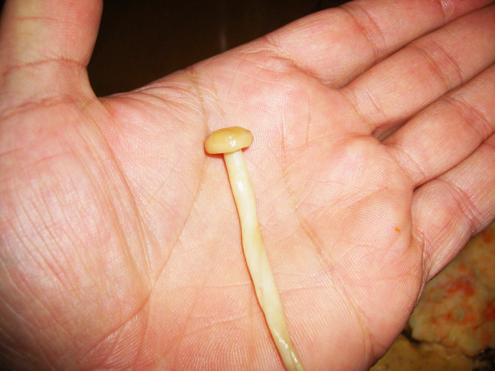 [IMGP0565.JPG]