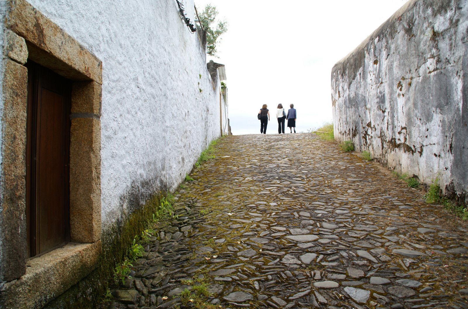 [136+DSC09887.JPG]