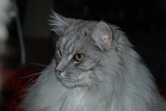 In memoriam "Zink" f 2002-06-17 d. 2010-03-31