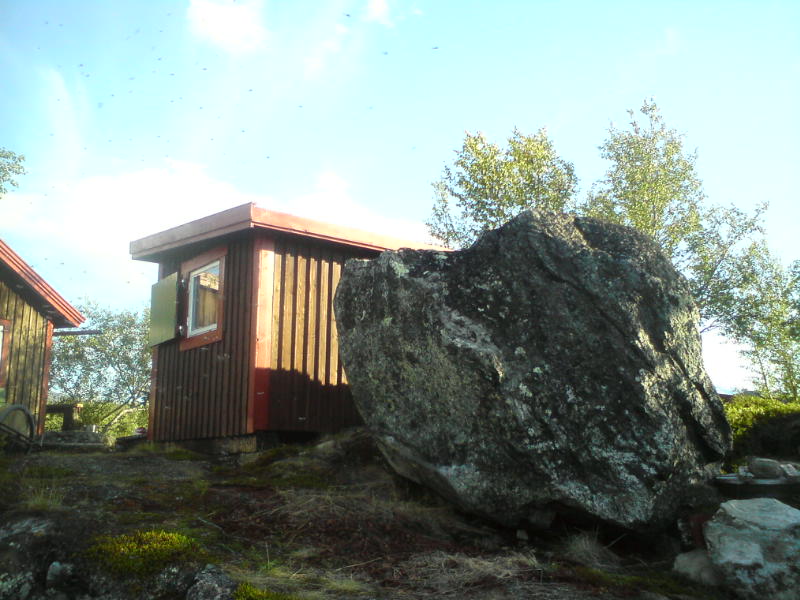 [image-upload-166-711657.jpg]