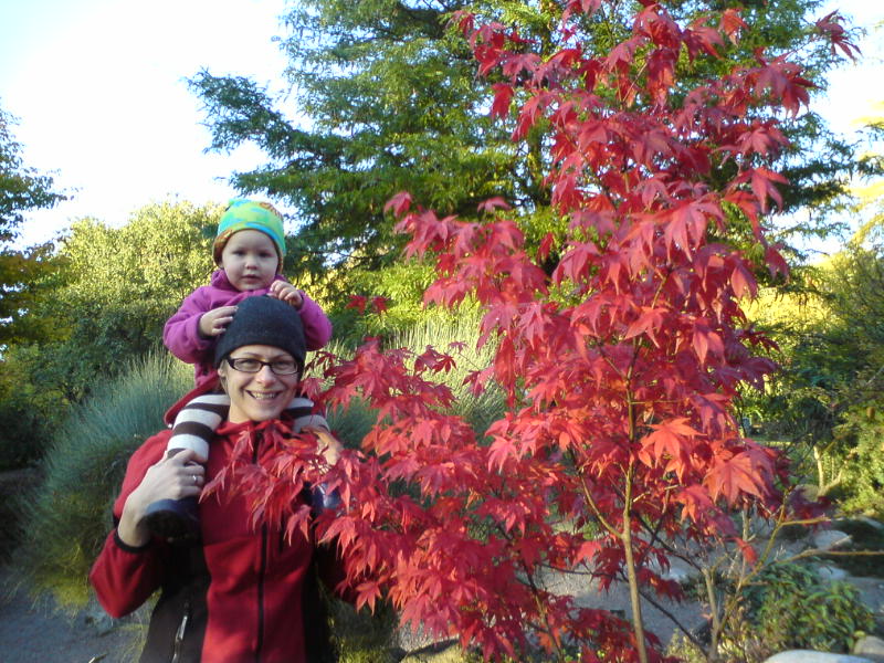 [image-upload-69-732888.jpg]