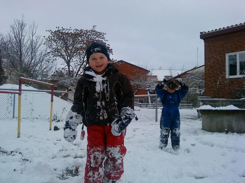 [image-upload-60-767261.jpg]