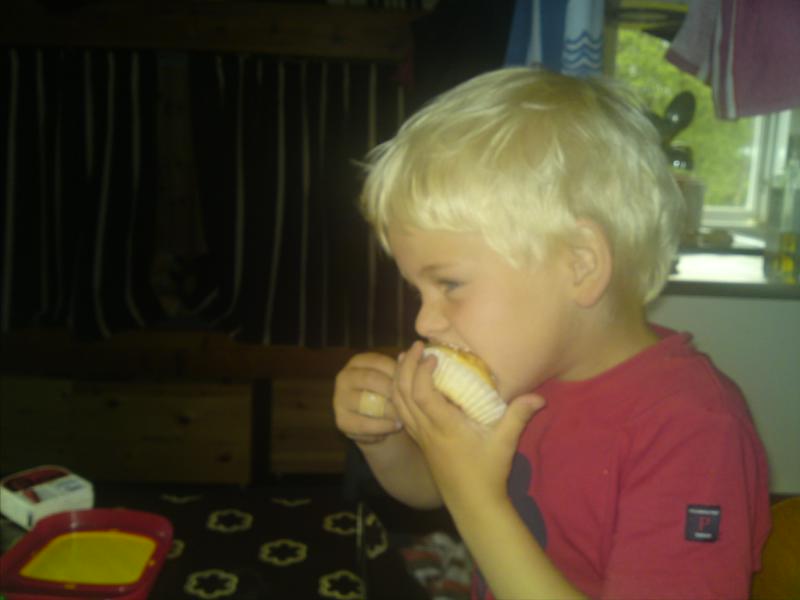 [image-upload-54-792249.jpg]