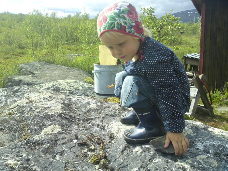 [image-upload-29-722281.jpg]