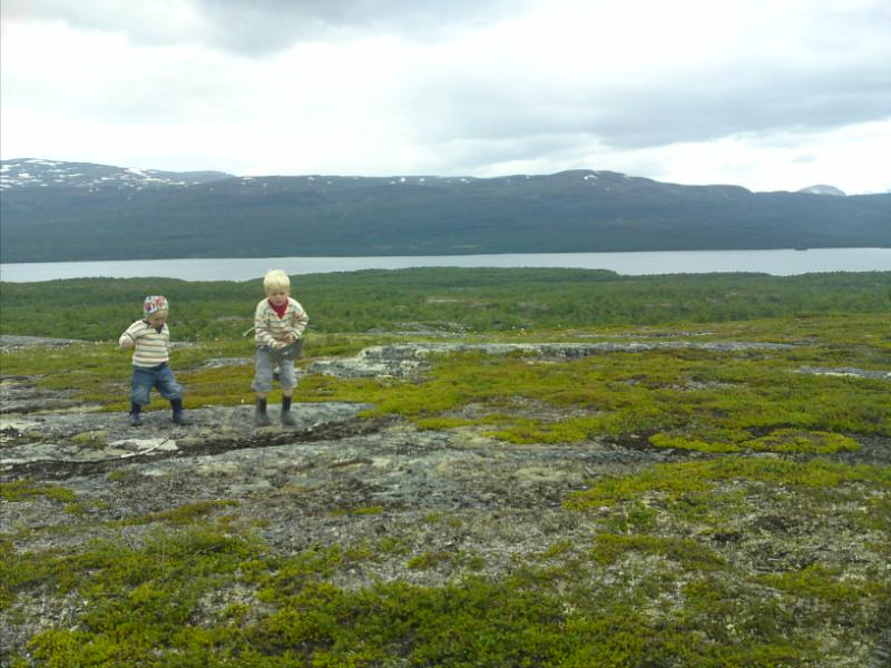 [image-upload-29-715503.jpg]