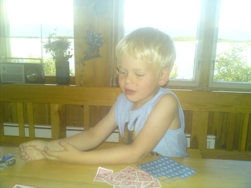 [image-upload-36-712597.jpg]