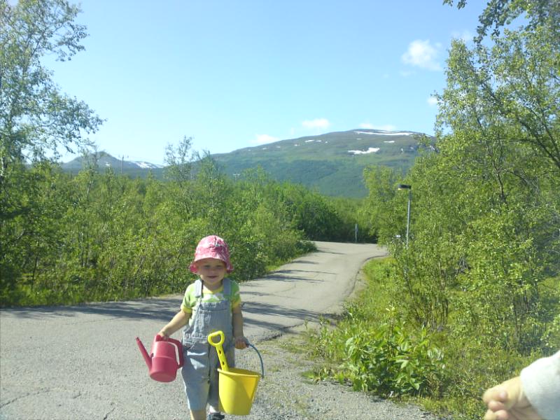 [image-upload-267-703823.jpg]